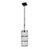 Varaluz Plaza 3 Light Foyer Carbo Havana Gold in Carbon/Havana Gold Finish Model: 325F03CBHG