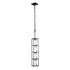 Varaluz Plaza 4 Light Foyer Carbo Havana Gold in Carbon/Havana Gold Finish Model: 325F04CBHG