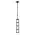 Varaluz Plaza 4 Light Foyer Carbo Havana Gold in Carbon/Havana Gold Finish Model: 325F04CBHG