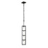 Varaluz Plaza 4 Light Foyer Carbo Havana Gold in Carbon/Havana Gold Finish Model: 325F04CBHG