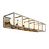 Varaluz Plaza 6 Light Bath Havana Gol Carbon in Havana Gold/Carbon Finish Model: 325B06HGCB