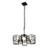 Varaluz Plaza 8 Light Pendant Carbo Havana Gold in Carbon/Havana Gold Finish Model: 325C08CBHG