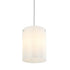 Varaluz Swirled 3 Light Pendant Chrome Model: AC1693