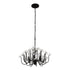 Varaluz Wildflower 6 Light Chandelier Matte Black Model: 378C06MB