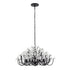 Varaluz Wildflower 8 Light Chandelier Matte Black Model: 378C08MB