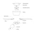 Vaxcel Brayton 52 in Ceiling Fan in White Model: F0117