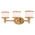 Vaxcel Carlisle 22 in. W 3 Light Vanity in Natural Brass Model: W0479