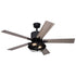 Vaxcel Elkhart 52 in. 2 Light LED Ceiling Fan in Black Model: F0110