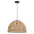 Vaxcel Nassau 18.25 in. 1 Light Pendant in Matte Black and Natural Rope Model: P0405