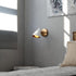 Vaxcel Pryce 4.5 in. Wall Light in Matte White and Satin Brass Model: W0502