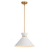 Vaxcel Racine 15 in 1 Light Pendant in Matte White and Natural Brass Model: P0399