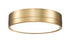 Z-Lite Algar 1 Light Flush Mount in Brushed Nickel Finish Model: 1006F12-BN-LED