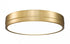 Z-Lite Algar 1 Light Flush Mount in Brushed Nickel Finish Model: 1006F16-BN-LED