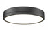 Z-Lite Algar 1 Light Flush Mount in Brushed Nickel Finish Model: 1006F16-BN-LED