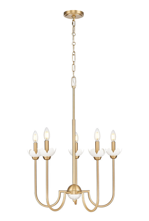 Z-Lite Allistair 5 Light Chandelier in Matte Black Finish Model: 352-5MB