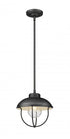 Z-Lite Ansel 1 Light Outdoor Pendant in Black Finish Model: 590P-BK