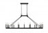 Z-Lite Barclay 16 Light Linear Chandelier in Matte Black Finish Model: 482-16L-MB