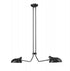 Z-Lite Bellamy 2 Light Linear Chandelier in Matte Black Finish Model: 1942-2L-MB