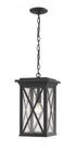 Z-Lite Brookside 1 Light Outdoor Chain Mount Ceiling Fixture in Black Finish Model: 583CHB-BK