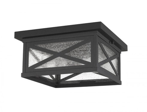 Z-Lite Brookside 2 Light Outdoor Flush Mount in Black Finish Model: 583F-BK