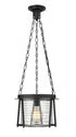 Z-Lite Cape Harbor 1 Light Pendant in Brushed Nickel Finish Model: 7503P13-BN