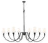 Z-Lite Claudelle 8 Light Chandelier in Matte Black Finish Model: 4014-65MB
