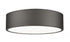 Z-Lite Coronado 1 Light Flush Mount in Brushed Nickel Finish Model: 1017F16-BN-LED
