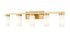 Z-Lite Danica 5 Light Vanity in Brushed Nickel Finish Model: 3044-5V-BN