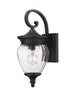 Z-Lite Davina 1 Light Outdoor Wall Light in Black Finish Model: 5016S-BK