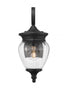 Z-Lite Davina 1 Light Outdoor Wall Light in Black Finish Model: 5016S-BK