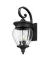 Z-Lite Davina 3 Light Outdoor Wall Light in Black Finish Model: 5016M-BK