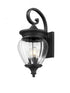 Z-Lite Davina 3 Light Outdoor Wall Light in Black Finish Model: 5016M-BK