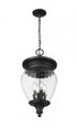 Z-Lite Davina 4 Light Outdoor Chain Mount Ceiling Fixture in Black Finish Model: 5016CHB-BK
