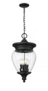 Z-Lite Davina 4 Light Outdoor Chain Mount Ceiling Fixture in Black Finish Model: 5016CHB-BK