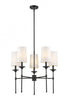 Z-Lite Emily 5 Light Chandelier in Brushed Nickel Finish Model: 3033-5BN