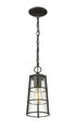 Z-Lite Helix 1 Light Outdoor Chain Mount Ceiling Fixture in Black Finish Model: 591CHM-BK