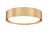 Z-Lite Kawan 1 Light Flush Mount in Brushed Nickel Finish Model: 1014F12-BN-LED