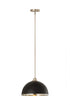 Z-Lite Landry 1 Light Pendant in Matte Black + Brushed Nickel Finish Model: 1004P14-MB-BN