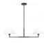 Z-Lite Leila 2 Light Chandelier in Brushed Nickel Finish Model: 744-42L-BN