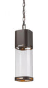 Z-Lite Lestat 1 Light Outdoor Chain Mount Ceiling Fixture in Black Finish Model: 562CHB-BK-LED
