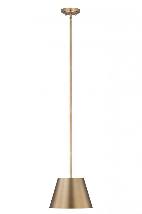 Z-Lite Lilly 1 Light Pendant in Brushed Nickel Finish Model: 2307-12BN