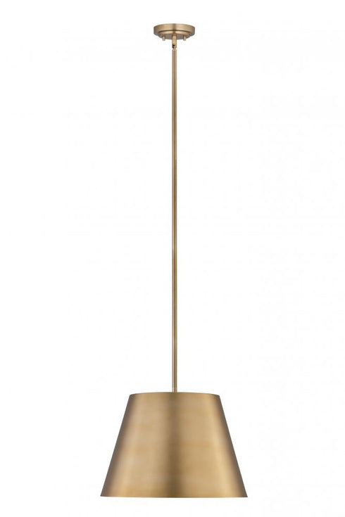 Z-Lite Lilly 1 Light Pendant in Brushed Nickel Finish Model: 2307-18BN