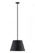 Z-Lite Lilly 1 Light Pendant in Brushed Nickel Finish Model: 2307-18BN
