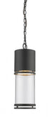 Z-Lite Luminata 1 Light Outdoor Chain Mount Ceiling Fixture in Brushed Aluminum Finish Model: 553CHB-BA-LED
