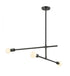 Z-Lite Modernist 3 Light Chandelier in Matte Black Finish Model: 731-3MB