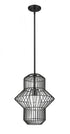 Z-Lite Orsay 1 Light Pendant in Matte Black Finish Model: 1941P15-MB