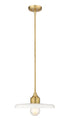 Z-Lite Paloma 1 Light Pendant in Brushed Nickel Finish Model: 820P14-BN