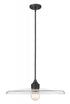 Z-Lite Paloma 1 Light Pendant in Brushed Nickel Finish Model: 820P24-BN