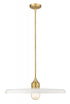 Z-Lite Paloma 1 Light Pendant in Brushed Nickel Finish Model: 820P24-BN
