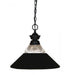 Z-Lite Pendant Lights 1 Light Pendant in Brushed Nickel Finish Model: 100701BN-RBN